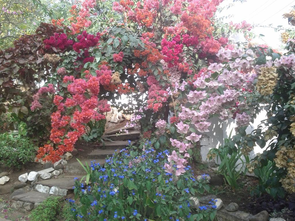 Jheelam Homestay Bhopal Extérieur photo