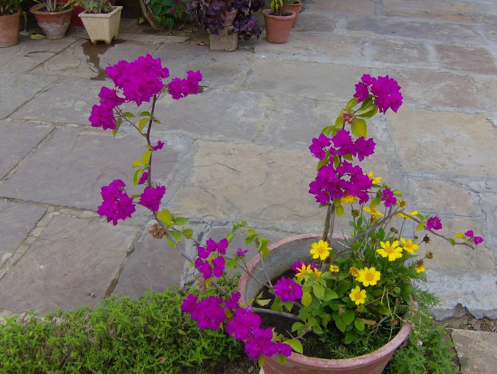 Jheelam Homestay Bhopal Extérieur photo