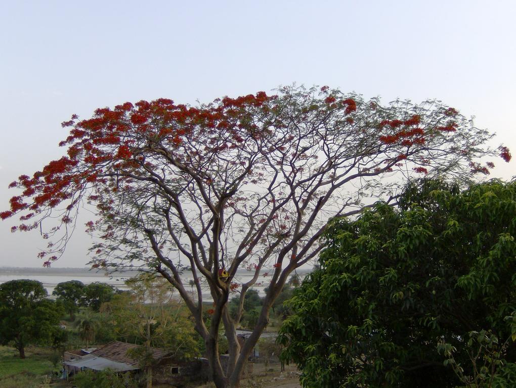 Jheelam Homestay Bhopal Extérieur photo