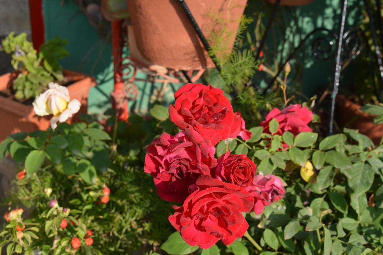 Jheelam Homestay Bhopal Extérieur photo